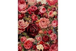 Meecaa Malen nach Zahlen, Blumen-Rose, romantisches Set für Erwachsene, Anfänger, DIY-Ölgemälde, 40,6 x 50,8 cm (Rose, gerahmt)