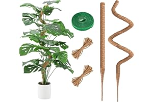 RYHX 120CM Bastoni per Piante,Palo del Muschio per la Pianta,Pali Piegabili della Fibra di Cocco Bastone del Muschio della Pianta,Porta Piante Rampicanti per Piante da Interno（2×120CM）