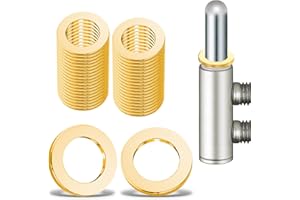 NENULL 40 Stück Fitschenringe Zimmertüren Unterlegscheiben Türscharnier Montageringe Ohne Abriebspuren 10,20x 15.8 x 1.8mm, Massivem Messing