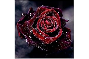 DOUKOYEE Rose Diamond Painting Kit Completo,Fiori Colorato Pittura Diamante 5D Adulti Bambini Diamantini Stitch DIY Crystal Art Decorazione Casa e Pareti Creazione mosaici (A)