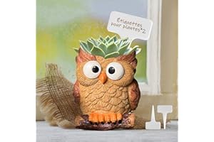 BeGrit Pot de Fleurs Succulentes Créatives avec Étiquettes de Plantes Pots De Fleurs Décoratifs Résine D'intérieur Chouette d'animaux Idée Cadeau pour Decor Maison Mariage Bureau Jardin Party