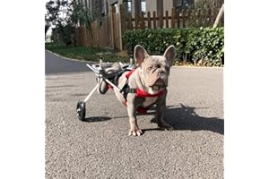 CORA PET Passeggini Sedia a Rotelle per la Riabilitazione delle Zampe Posteriori di Cane e Cuccioli, Carrello per Cani Anziani Feriti Disabili, Carrellino Adatto per Tutti i Cani di Piccola Taglia 1~10 kg