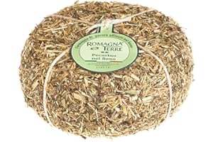 ROMAGNA TERRE 650g Pecorino nel fieno Schafmilchkäse mit Heu 90 Tage gereift Gewinner bester Käse Italiens