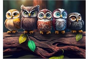 EOBROMD 5D Diamond Painting Kit Completo, Gufi Pittura Diamante FAI DA TE, Animali Diamond Painting Bambini Adulti, Animali Strass Ricamo a Punto Croce Painting Decorazione per Casa 30x40cm