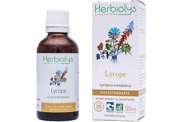 Herbiolys | Extrait De Plantes Fraîches Bio | Lycope (Lycopus europaeus) | Activité Thyroïdienne | Phytothérapie Bio | 50 ml