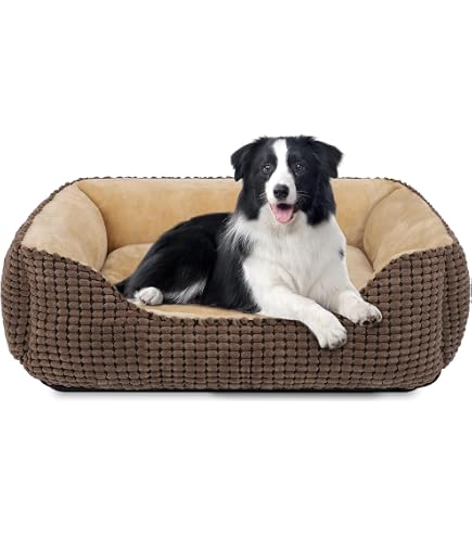 Cuccia Ortopedica Per Cani Grandi DEIME - 69x69x25 Cm, Morbida, Con Bordi Rialzati, Antiscivolo, Lavabile In Lavatrice