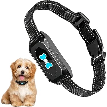 Amazon.de Neuerscheinungen: Die beliebtesten Neuheiten in Erziehungshilfen  fr Hunde