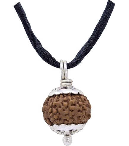 SHIVOHAM Original 13 Mukhi Rudraksha (certifié Lab) Origine : Népal / Bonne Forme Et Perle Maturée (20–22 Mm