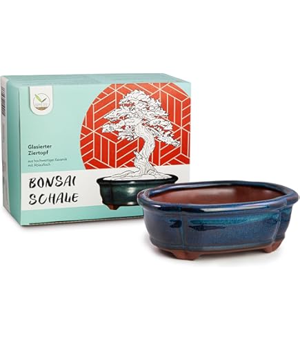 Hydroflora 63000200 Maceta Alta Nicoli Talos Gloss Diamond CS Con