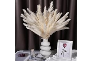 VVHIPPO Pampasgras Getrocknet, 30 Stück Set Natürliche Trockenblumen, Weiß Pampasgras Flauschige Wedel, 17inch Pampasgras Groß, Lagurus und Schilfblume Getrocknete Blumen für Boho Deko, Heim Decor