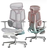 Hbada E3 Pro Ergonomic Office Chair &ndash; 3-Zone Dynamic Lumbar Support, 3D Headrest and 6D Arms, Ergonomic Desk Chair with Footr