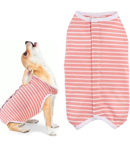 BODY DE SOIN POST OPERATOIRE gris pour chien KARLIE