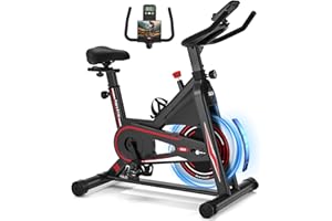 DMASUN Bicicleta Estática en Casa con Magnética, Bicicleta Estatica Silenciosa con Monitor LCD, Cómodo Cojín de Asiento, Volante 15KG, Capacidad de 160 kg, Entrenamiento Aeróbico