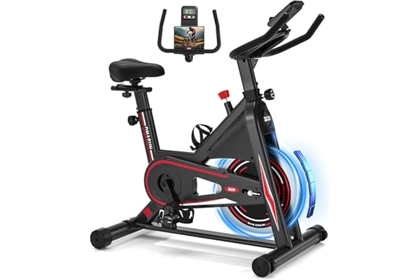 DMASUN Bicicleta Estática en Casa con Resistencia Ajustable, Bicicleta Estatica Silenciosa con Monitor LCD, Cómodo Cojín de Asiento, Capacidad de 160/180 kg, Entrenamiento Aeróbico