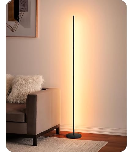 EDISHINE 2 PCS Lampadaire LED Sur Pied Salon 19W 1100LM 3000K Blanc Chaud Dimmable 147cm