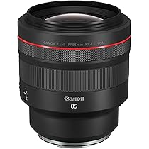 Canon RF85mm F1.2 L USM Lens : Amazon.in: Electronics