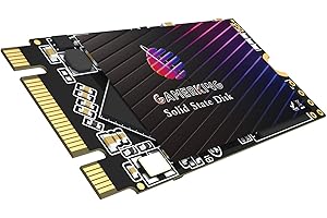 GamerKing SSD M.2 2242 64GB Disco Duro Interno De Unidad de Estado Sólido de Alto Rendimiento 1tb 512gb 256gb 128gb para Computadora Portátil de Escritor (64GB, M.2 2242)