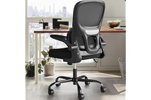 Farini Ergonomic Home Office Chair, Mesh Office Chair with Flip-Up Armrest Desk Chair Lumbar Support for Computer Desk