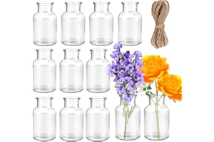 WILLIYATT 12 pièces Vases en Verre,250ml Petit Vase Corde de Jute Incluse pour Table, décoration, centres de Table, Maison, Anniversaires, Festivals