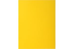 EXACOMPTA Paquet de 100 chemises Rock's en carte 210 g, coloris jaune