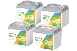 Redodo 12.8V 50Ah(Pack 4) batteria portatile al litio LiFePO4,sostituzione ideale per la batteria AGM SLA da 12V 100Ah, 4000-8000 cicli, perfetta per RV,Camper, dispositivi di sicurezza, ecc.