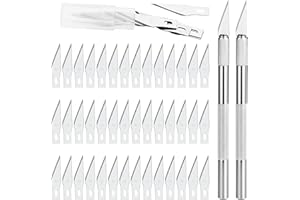 GOLDGE Precision Cutter 2 Scalpel avec 42 lames, Cutter de Précision Couteau pour Découpe de Travail d'art Bricolage, Spéléologie, Sculpture, Diy Sculpture Couteaux de Loisirs