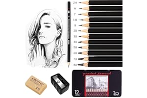 Surcotto Drawing pencils, professional sketching pencils set for beginner, artist pencils with eraser and sharpener (8B-2H). (14-Count)