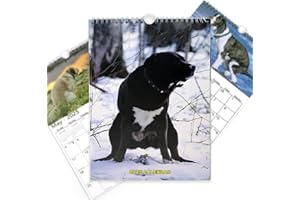 GD HUA Calendario da Parete 2025 per Cani, Calendario Animale 12 Mesi, Planning da Tavolo 2025, Divertente Planner Mensile 2025