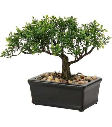 pseudo bonsai Faux Bonsai Tree for Home Dcor  Arcadia Cordis