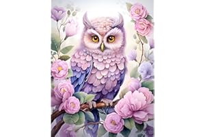 NAIMOER Gufo Diamond Painting per adulti, set di quadri per pittura con diamanti 5D, per adulti, decorazione della parete (30 x 40 cm)