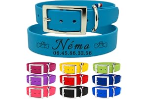 Collier chien personnalisé Biothane - Fait main France - Collier gravé au laser - Gravure prénom et numéro téléphone - Sport chasse rando - Collier étanche résistant pour chien - TDOG (Bleu Turquoise)
