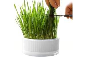 HEGZA Katzengras-Pflanzkasten - Hydroponischer Pflanzkasten Katzengraszüchter | Abnehmbare, bodenfreie Keimschale, Grasbox für Katzen, Hunde und andere Haustiere, Heimdekoration