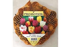 PERAGASHOP OFFERTA 50 TULIPANI MIX COLORI BULBI AUTUNNALI AIUOLE GIARDINO BULBS