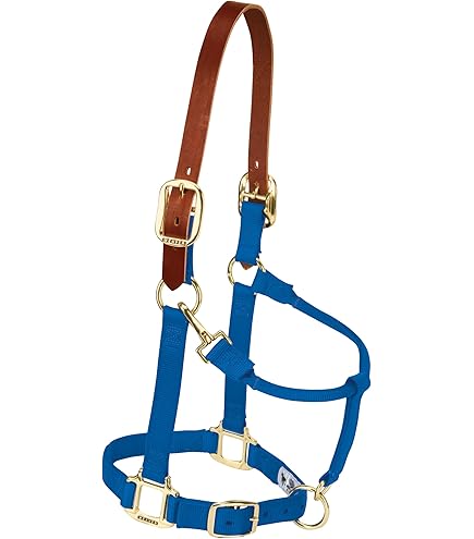 Cavezza in nylon regolabile con fibbiere nichelate: Pony, rosso