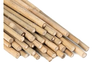 ALMASTORE Canne di Bambu' h.300cm Ø 30/35 mm 10 Pezzi - Resistenti Naturali - Per Sostegno Ortaggi e Piante o Arredamento di design - Ideali per Pomodori e Rampicanti - Canna di Bamboo per Orto