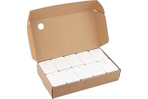 HEAVENLIFE 1000PCS Mini Etiquetas de Precio de Papel Kraft/Blanco, Etiqueta de Marcado/Vacío, Etiquetas de Ropa de 3.5cmx5cm, Etiquetas Regalo Perforadas para Ropa Zapatos Sombrero Joyeria (Blanco, Vacío)