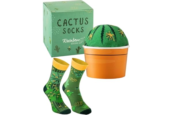 Rainbow Socks - Cactus dans le pot - chaussettes vertes, cactus pour femmes et hommes - un cadeau drôle pour les amateurs de cactus, sucules, plantes vertes - un cadeau pour anniversaire, fêtes