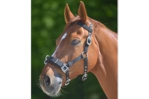 WALDHAUSEN Bride économique en Nylon