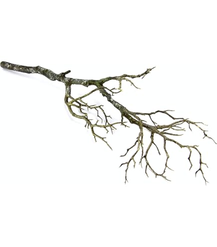 mucplants Knstlicher AST Dunkelbraun 90cm naturgetreuer Dekoast Dekozweig  AST Zweig Kunstast aus Kunststoff : Amazon.de: Kche, Haushalt & Wohnen