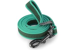 Wolfone 1.5m Lake Green Lightweight Training Dog/Cat Lead， Non-Slip Latex Silk Daily Dog/Cat Lead for Large Medium Small Dog/Cats