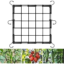 Palissage Et Scrog : Optimisez Votre Culture En Chambre De Culture | Culture Indoor