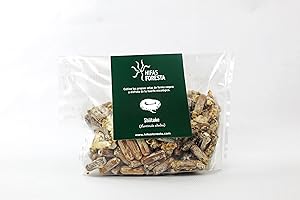 HIFAS - Setas Autocultivo - Autocultivo de Seta Shiitake sobre Troncos de Madera, Perfecto para el Cultivo de Setas en casa o para el Huerto, Mushroom Growing (200 Uds)