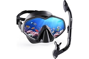 Dorlle Dry Snorkel Set Adults, Tempered Glass Snorkel Mask Anti-Fog Panoramic Wide View Mask and Anti-Leak Premium Dry Snorkel Tube for Youth and Adults