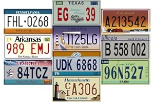 OPO 10 - Lotto di 10 TARGHE per Auto in Metallo USA - Repliche di Vere targhe Americane - V2