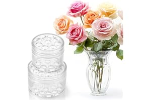 AIYORSE 2 soportes en espiral para tallos de Ikebana, ramo de flores para arreglos florales, soporte de tallo en espiral reutilizable para jarrones, accesorio de arte floral, separador de flores para jarrón