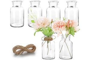 Lannvan 6 Mini Vases en Verre - Petits Décoratifs de Table Mariage - Avec Ficelle - Pour Décorations de Table Moderne - Lave Vaisselle - 130ml