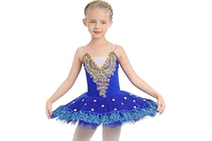 IBTOM CASTLE Fille Sans Manches Robe Ballet Brodée de Plumes Justaucorps Gymnastique Patinage Ballet Tutu Costume de Danse Enfant Ballerina 4-14 Ans