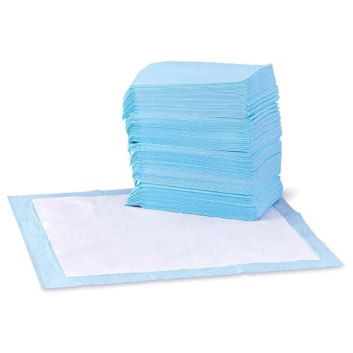 Amazon Basics Training Pads for Dogs and Puppies, Leak-Proof 5-Layer Design with Quick Drying Surface, Regular, Blue, Pack of 100