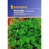 Sperli 594 Gemüsesamen Petersilie Einfache Schnitt 3, grün