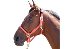 Shires Topaz Nylon Headcollar-Orange Pony